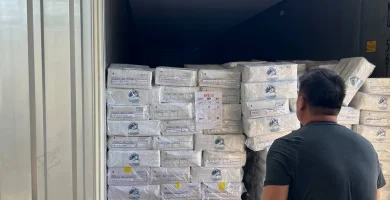 HANDLING REEFER COUNTAINER DARI SURABAYA KE LOS ANGELES USA KOMODITY FROZEN YELLOWFIN TUNA GROUND MEAT