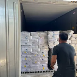 HANDLING REEFER COUNTAINER DARI SURABAYA KE LOS ANGELES USA KOMODITY FROZEN YELLOWFIN TUNA GROUND MEAT